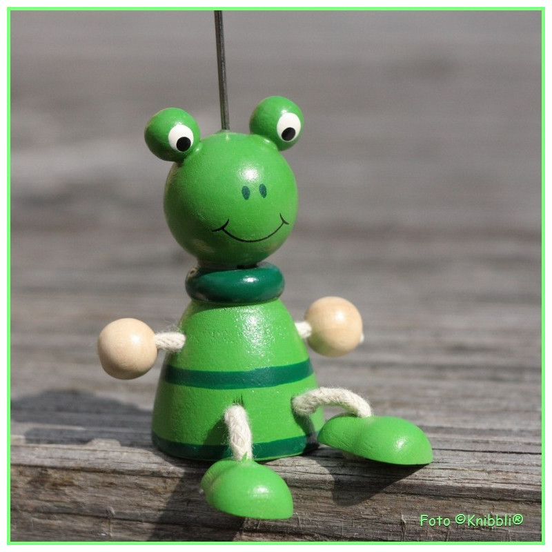 Kärtchen Bilder Halter Frosch
