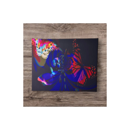 Wandbild-Butterfly Leinwanddruck 50x40