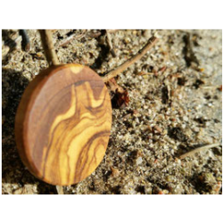 10 Holzscheiben / Astscheiben Olivenholz Ø 3cm