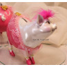 Sparschweinchen als bezaubernde Diva 04